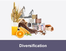 Diversification